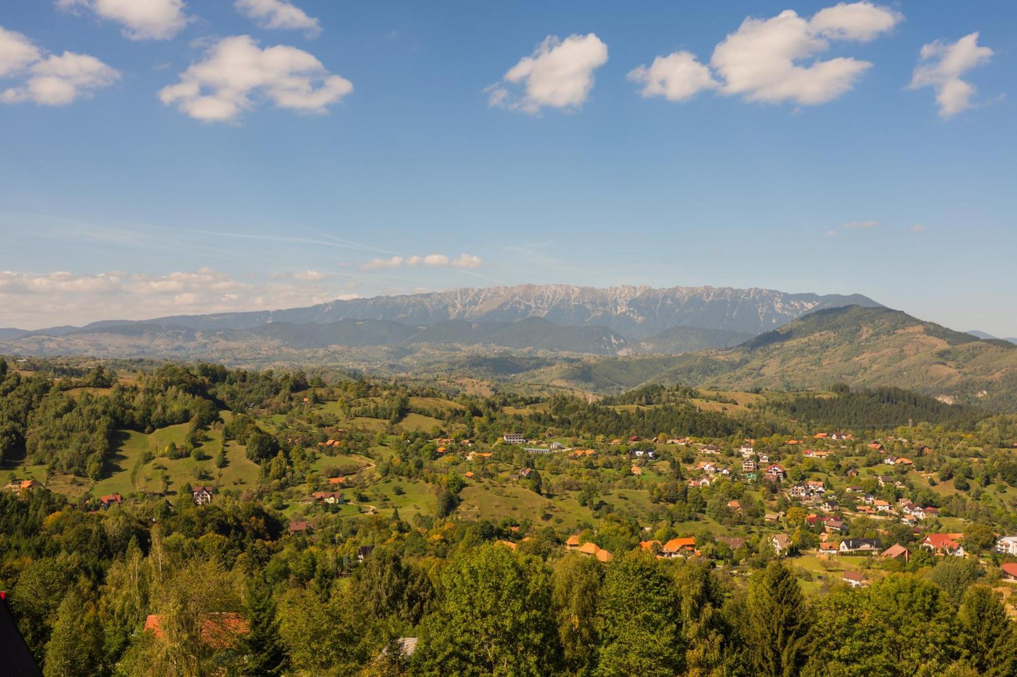 The Pines Bucegi Lodge Bran  Buitenkant foto