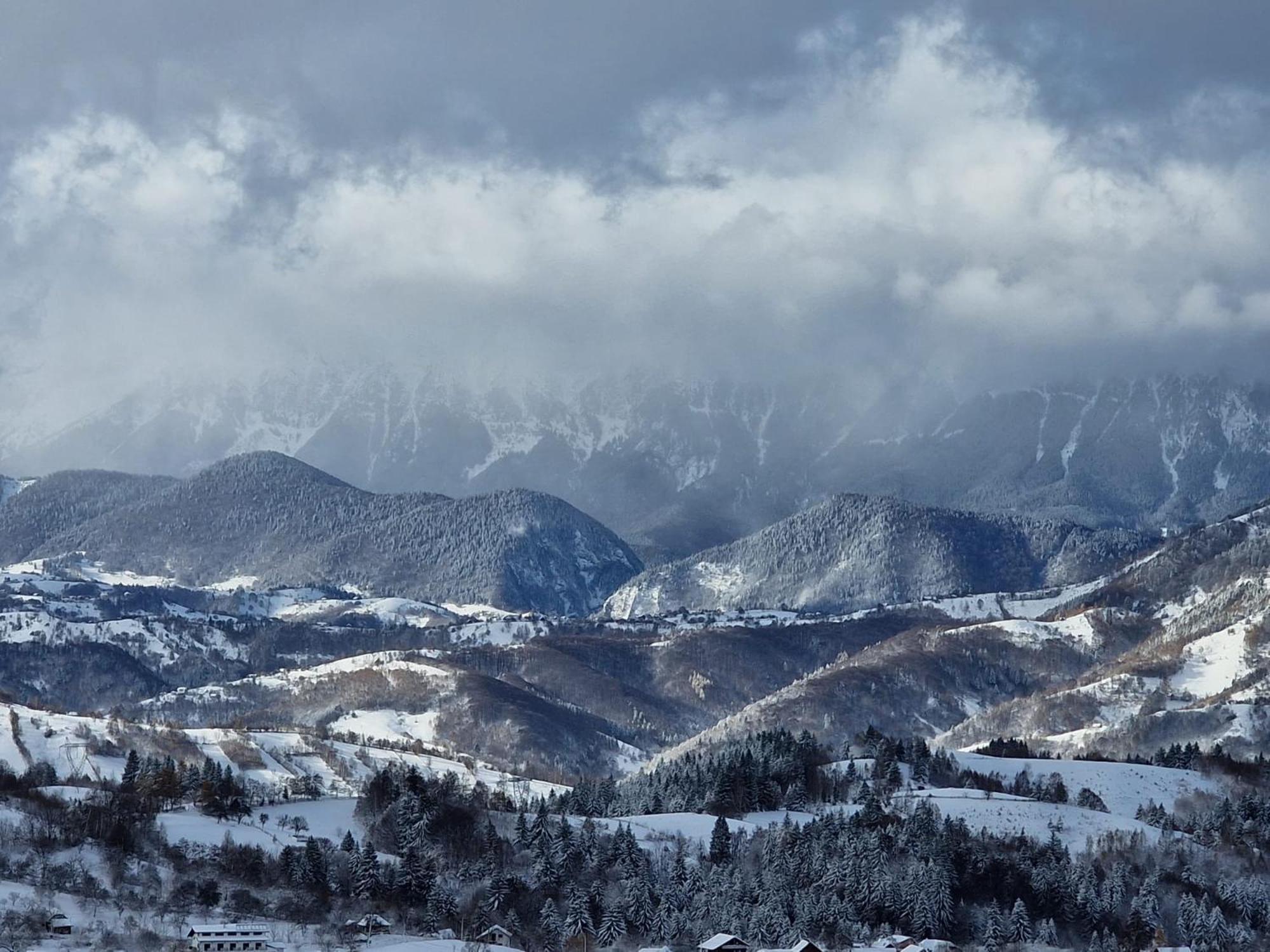 The Pines Bucegi Lodge Bran  Buitenkant foto